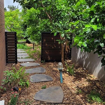 נקודות ריפוי Apartment Tirat Carmel Ngoại thất bức ảnh