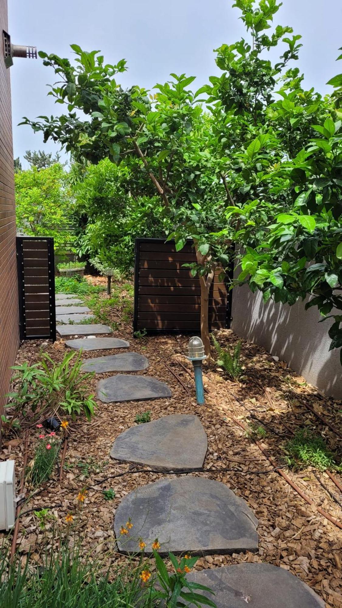 נקודות ריפוי Apartment Tirat Carmel Ngoại thất bức ảnh